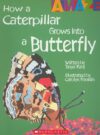 HOW A CATERPILLAR GROWS INTO A BUTTERFLY