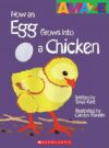 HOW AN EGG GROWS INTO A CHICKEN