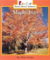 MAPLE TREES