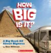 HOW BIG IS IT