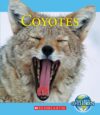 COYOTES (NATURE'S CHILDREN)