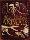 ANIMALS  : BONE COLLECTION