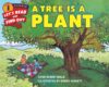 Tree Is a Plant (Let's-Read-And-Find Science Lvl 1