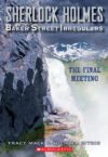 FINAL MEETING #4 (SHERLOCK HOLMES)