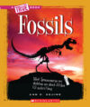 Fossils (True Books: Earth Science)