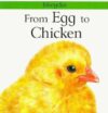 FROM EGG TO CHICKEN