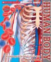 HUMAN BODY (DISCOVER MORE