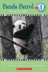 PANDA PATROL