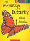 MIGRATION OF A BUTTERFLY