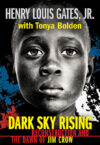 Dark Sky Rising: Reconstruction
