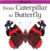 FROM CATERPILLAR TO BUTTERFLY