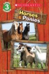 HORSES & PONIES