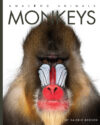 Monkeys (Amazing Animals)