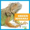 Green Iguanas (Reptile World)