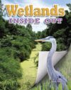 Wetlands Inside Out (Ecosystems Inside Out)