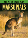 Marsupials