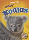 Baby Koalas (Super Cute!)