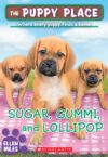 Sugar Gummi and Lollipop #40 (Puppy Place)