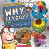 Why Fly Guy?: Answers to Kids' Big