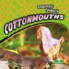 Cottonmouths (Dangerous Snakes)