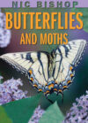 Butterflies and Moths (Nic Bishop)