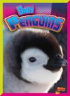 Baby Penguins (Adorable Animals)(LB)