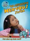 Astounding Nervous System: How Does My Brain Work?