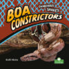 Boa Constrictors (Dangerous Snakes)