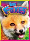 Baby Foxes (Adorable Animals)(LB)