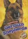 German Shepherds (Awesome Dogs)