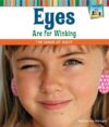 Eyes Are for Winking: The Sense of Sight: The Sen