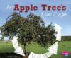 Apple Tree's Life Cycle (Explore Life Cycles)