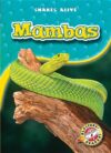 Mambas (Snakes Alive)