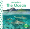 Animals in the Ocean