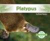 Platypus (Australian Animals)