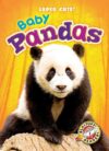 Baby Pandas (Super Cute!)