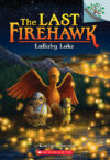 Lullaby Lake #4 (Last firehawk)