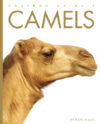 Camels (Amazing Animals)