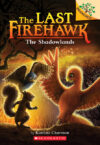Shadowlands #5 (Last Firehawk)
