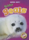 Baby Seals (Super Cute!)