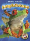 Amphibians (Animal Classes)