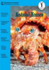 Animal Homes Book 6