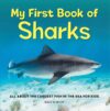 My First Book of Sharks: All about the Largest Fi