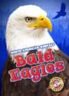 Bald Eagles (North American Animals)