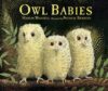 Owl Babies (Big Book)