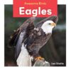 Eagles (Awesome Birds)
