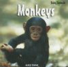 Monkeys and Apes (Baby Animals)