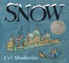 Snow (1999 Caldecott Honor)(HC)
