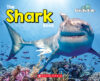 Shark Book (Side by Side)