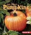 Pumpkins (First Step Nonfiction Plant Life Cycle)